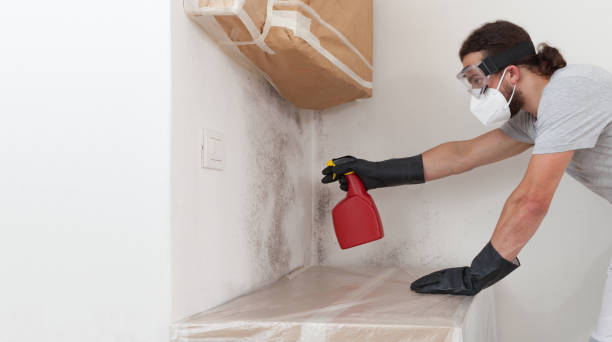 Professional Mold Remediation technician working in Lumberville, PA