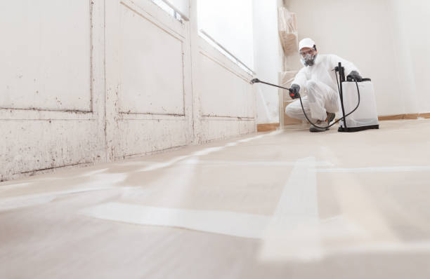 24/7 Emergency Mold Remediation experts in Lumberville, PA
